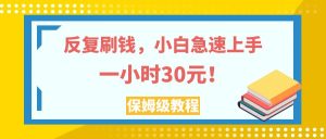 反复刷钱，小白急速上手，一个小时30元，实操教程。