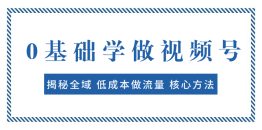0基础学做视频号：揭秘全域 低成本做流量 核心方法  快速出爆款 轻松变现