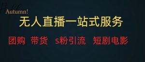 无人直播一站式服务（教程以及变现方式）