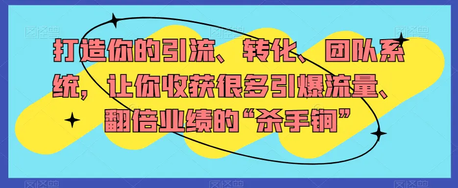 打造你的引流、转化、团队系统，让你收获很多引爆流量、翻倍业绩的“杀手锏”