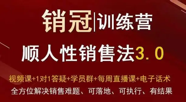 爆款！销冠训练营3.0之顺人性销售法，全方位解决销售难题、可落地、可执行、有结果