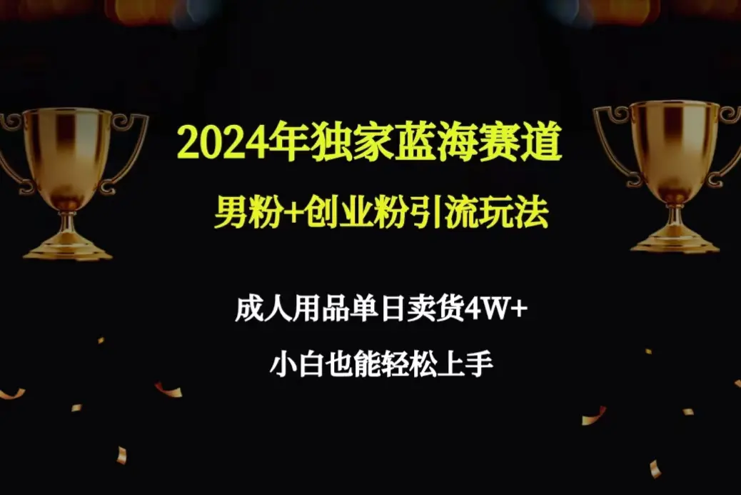 2024年独家蓝海赛道男粉+创业粉引流玩法，成人用品单日卖货4W+保姆教程