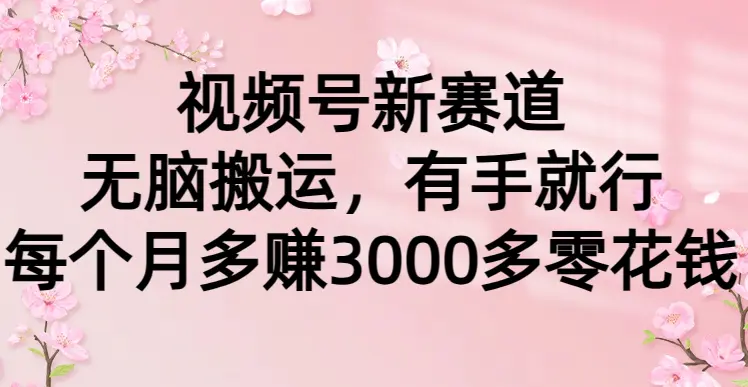 视频号新赛道，无脑搬运，有手就行，每个月多赚3000多零花钱