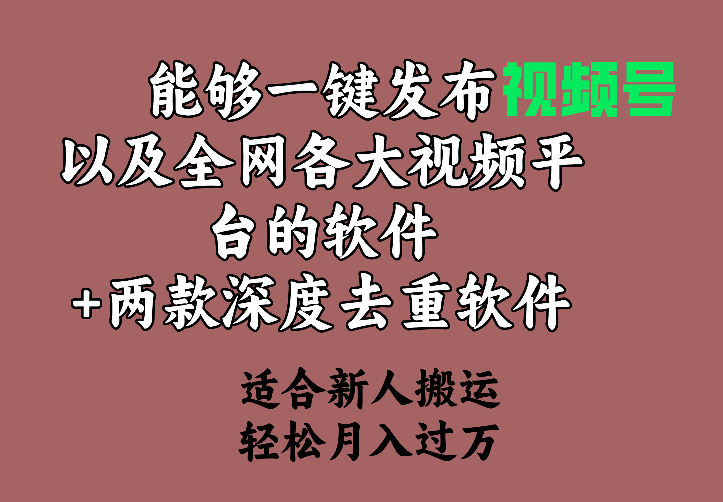 能够一键发布视频号以及全网各大视频平台的软件+两款深度去重软件 适合…