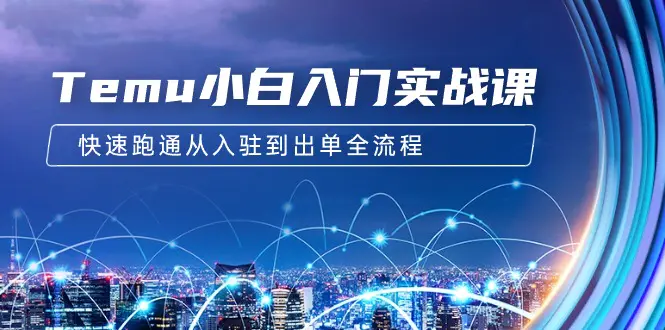 Temu小白入门实战课：跨境拼多多电商培训 快速跑通从入驻到出单全流程-12节