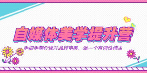 自媒体-美学提升营 手把手带你提升-品牌审美,做一个有调性博主(11节课)