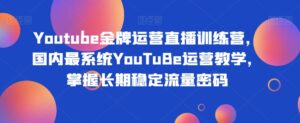 Youtube金牌运营直播训练营,国内最系统YouTuBe运营教学,掌握长期稳定流量密码