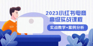 2023小红书-电商高级实战课程,实战教学+案例分析(38节课)