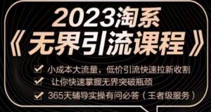 2023淘系无界引流实操课程,小成本大流量,低价引流快速拉新收割,让你快速掌握无界突破瓶颈