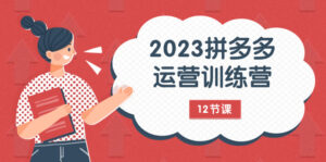 2023拼多多运营训练营:流量底层逻辑,免费+付费流量玩法(12节课)