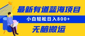 8月有道词典最新蓝海项目，视频搬运日入800+