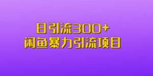 日引流300+闲鱼暴力引流项目