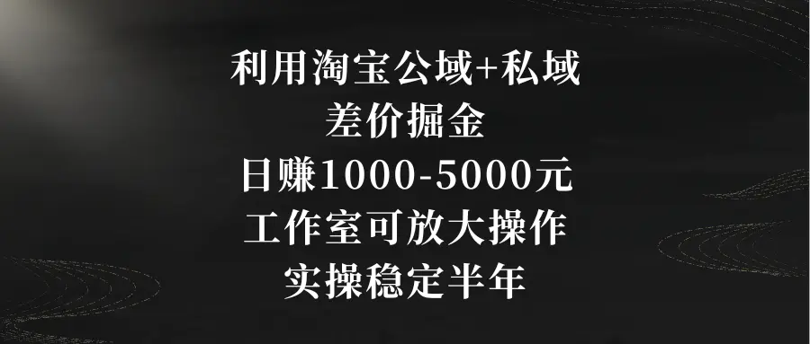图片[1]-利用淘宝公域+私域差价掘金，日赚1000-5000元，工作室可放大操作，实操…
