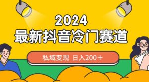 2024抖音最新冷门赛道,私域变现轻松日入200+,作品制作简单,流量爆炸