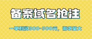 【全网首发】备案域名抢注,一单利润300-500元,需求量大