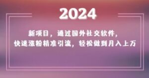2024新项目,通过国外社交软件,快速涨粉精准引流,轻松做到月入上万【揭秘】