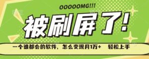 一个谁都会的软件,怎么变现月1万+轻松上手