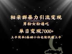 全网首发相亲群暴力引流男粉女粉通吃变现玩法，单日变现7000+保姆教学1.0