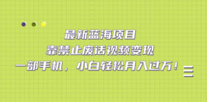 最新蓝海项目，靠禁止废话视频变现，一部手机，小白轻松月入过万！