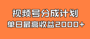 全新蓝海 视频号掘金计划 日入2000+