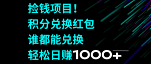 捡钱项目！积分兑换红包，谁都能兑换，轻松日赚1000+