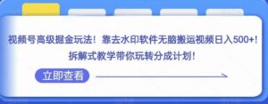 视频号高级掘金玩法,靠去水印软件无脑搬运视频日入500+,拆解式教学带你玩转分成计划【揭秘】