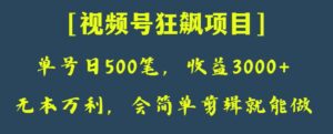 日收款500笔,纯利润3000+,视频号狂飙项目,会简单剪辑就能做【揭秘】