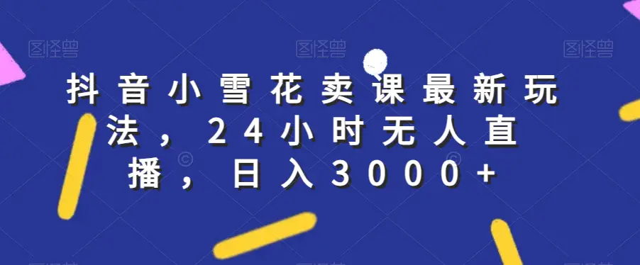 图片[1]-抖音小雪花卖课最新玩法，24小时无人直播，日入3000+【揭秘】