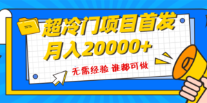 超级冷门项目,粤语动画赛道,十分钟一个原创视频,简单易上手 实测月入1w+