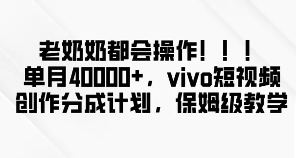 图片[1]-老奶奶都会操作，新平台无脑操作，单月40000+，vivo短视频创作分成计划【揭秘】