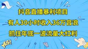 抖音直播暴利项目，有人30小时收入36万音浪，公司宣传片年会视频制作