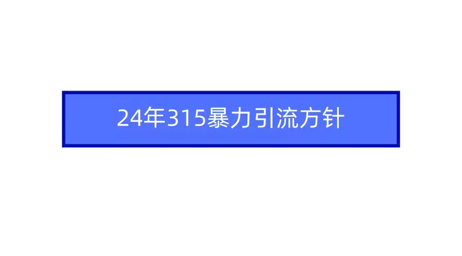 2024年315暴力引流方针