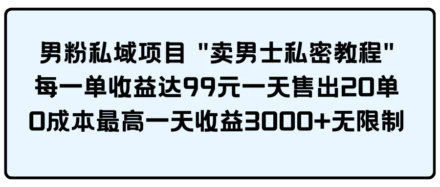 图片[1]-男粉私域项目 “卖男士私密教程” 每一单收益达99元一天售出20单