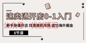 速卖通开店0-1入门,新手快速开店 找准商机市场 成功海外掘金(8节课)
