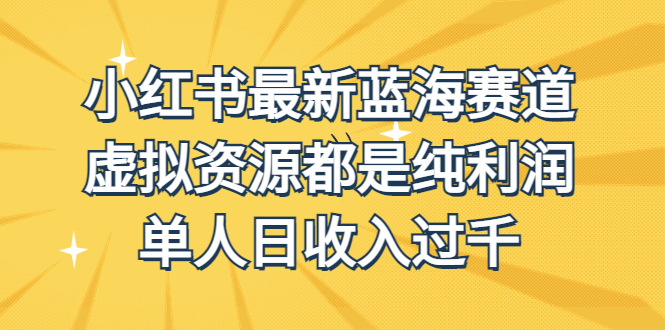 外面收费1980的小红书最新蓝海赛道，虚拟资源都是纯利润，单人日收入过千