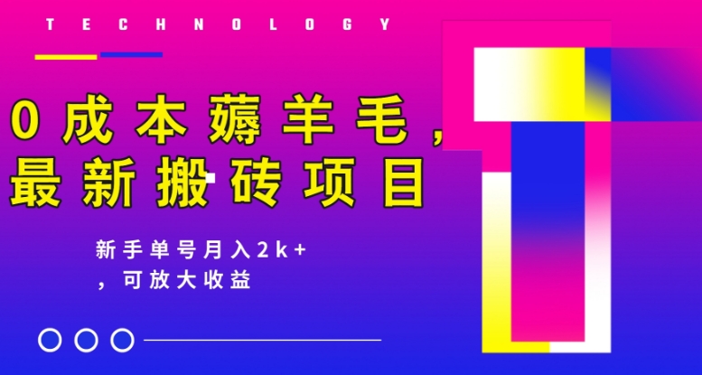 0成本薅羊毛，最新搬砖项目，新手单号月入2k+，可放大操作