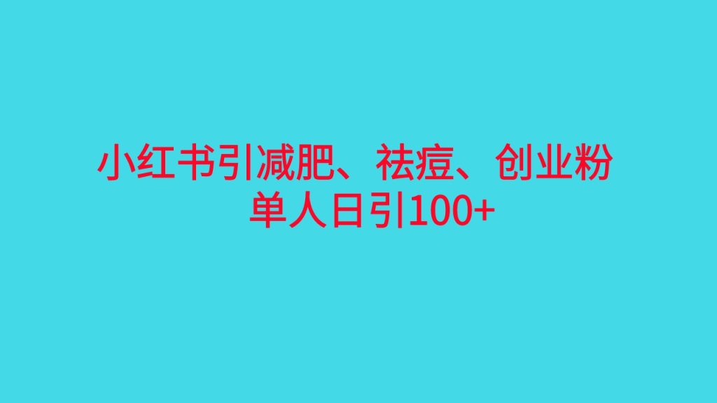 小红书精准引流,减肥、祛痘、创业粉单人日引100+(附软件)-优选副业网
