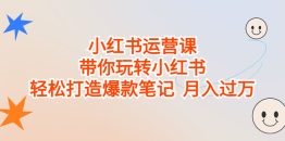 小红书运营课，带你玩转小红书，轻松打造爆款笔记  月入过万