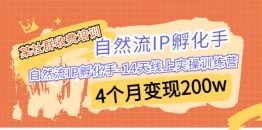 某社群收费培训：自然流IP 孵化手-14天线上实操训练营 4个月变现200w