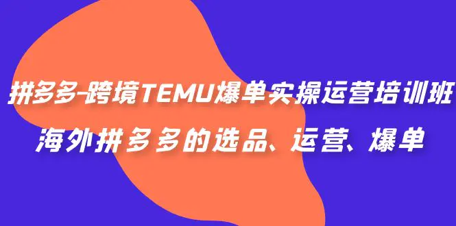 图片[1]-拼多多-跨境TEMU爆单实操运营培训班，海外拼多多的选品、运营、爆单