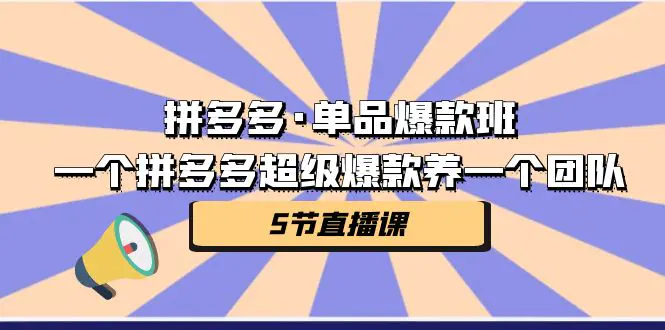 图片[1]-拼多多·单品爆款班，一个拼多多超级爆款养一个团队（5节直播课）