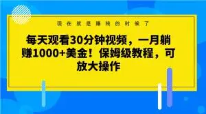 图片[1]-每天观看30分钟视频，一月躺赚1000+美金！保姆级教程，可放大操作【揭秘】