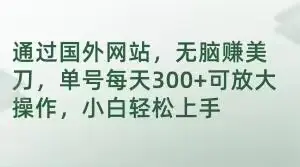 图片[1]-通过国外网站，无脑赚美刀，单号每天300+可放大操作，小白轻松上手【揭秘】