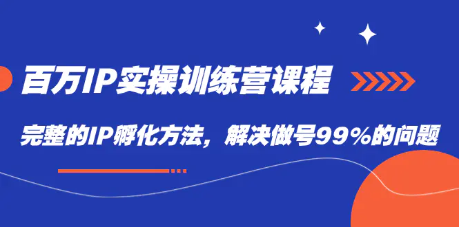 图片[1]-百万IP实战训练营课程，完整的IP孵化方法，解决做号99%的问题