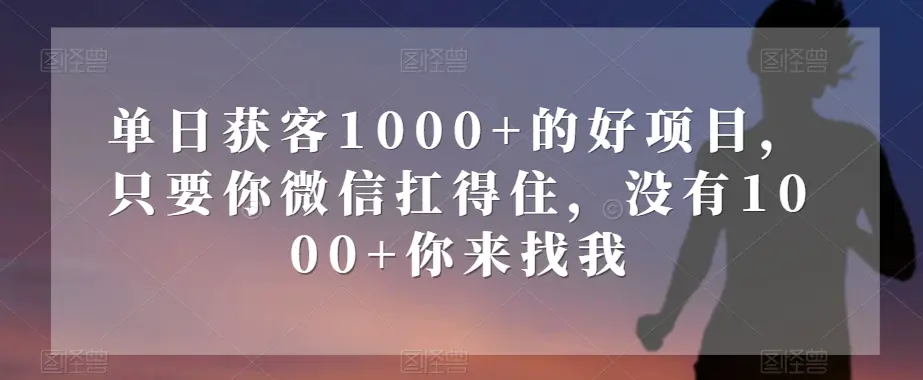 图片[1]-单日获客1000+的好项目，只要你微信扛得住，没有1000+你来找我【揭秘】