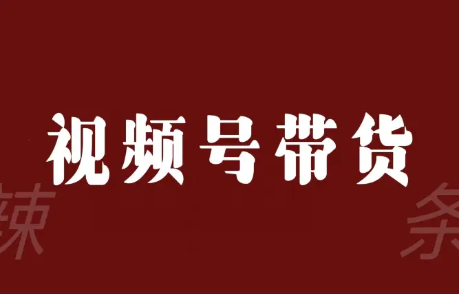 图片[1]-视频号带货联盟，赚信息差的带货钱，只需手机随时随地都可以做！