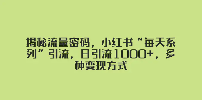 图片[1]-揭秘流量密码，小红书“每天系列”引流，日引流1000+，多种变现方式