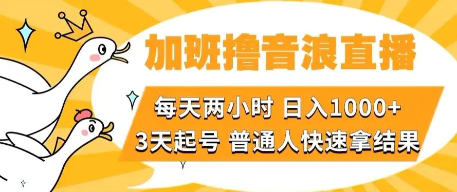 图片[1]-加班撸音浪直播，每天两小时，日入1000+，直播话术才3句，3天起号，普通人快速拿结果【揭秘】