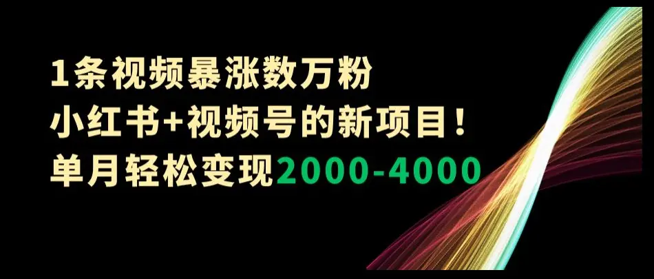 图片[1]-1条视频暴涨数万粉–小红书+视频号的新项目！单月轻松变现2000-4000【揭秘】