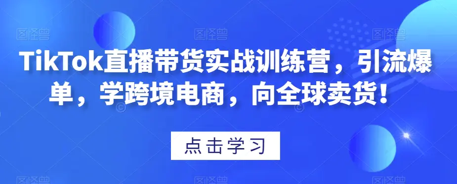 图片[1]-TikTok直播带货实战训练营，引流爆单，学跨境电商，向全球卖货